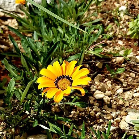 Karla Planinska Kuca * 바스카보다
