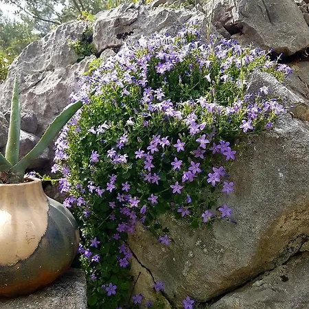 Karla Planinska Kuca Chalé