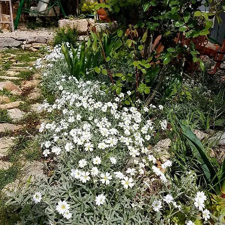 Karla Planinska Kuca Chalé