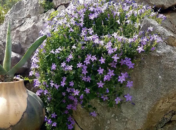 Karla Planinska Kuca Alpstuga